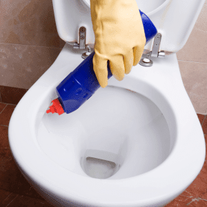 Toilet Cleaning