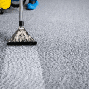 IGC&HS spring cleaning blog images